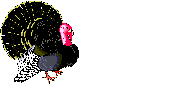 Creepy Low Res Turkey Gif